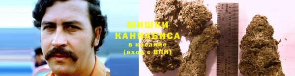 PSILOCYBIN Армянск